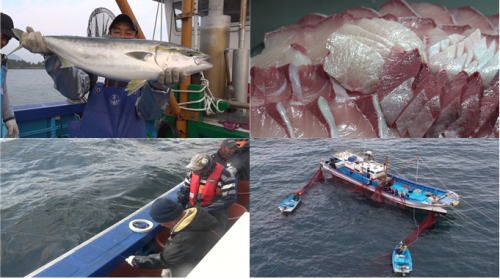 극한직업 887회 겨울 대물을 찾아라! 방어와 장마