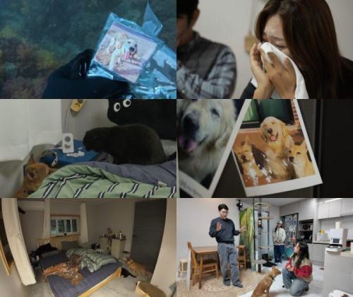 ‘세상에 나쁜 개는 없다’ 제주 멍 앓이