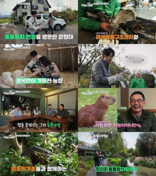 [취미는 과학 여행] 스위스엔 특별한 동물 보호법이 있다?!