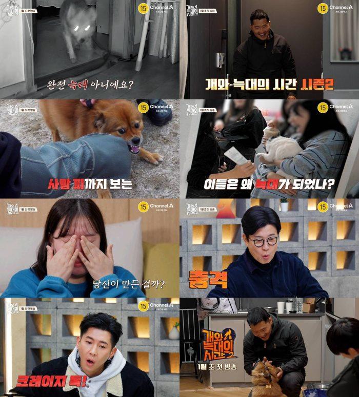 반려견 솔루션 예능 ‘개와 늑대의 시간’ 시즌2 포인트 공개