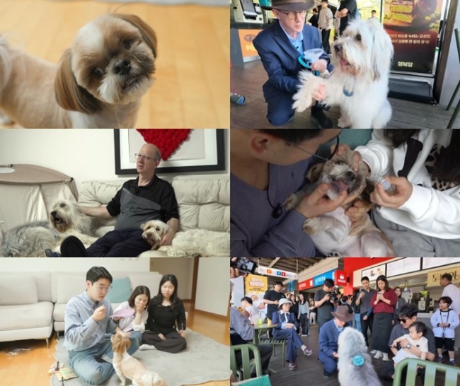 ‘세상에 나쁜 개는 없다’ 닥터피시犬 감자, 삽살개에 빠진 영국 신사