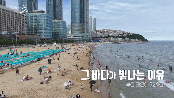 다큐멘터리 3일 730회 그 바다가 빛나는 이유 – 부산 해운대 72시간
