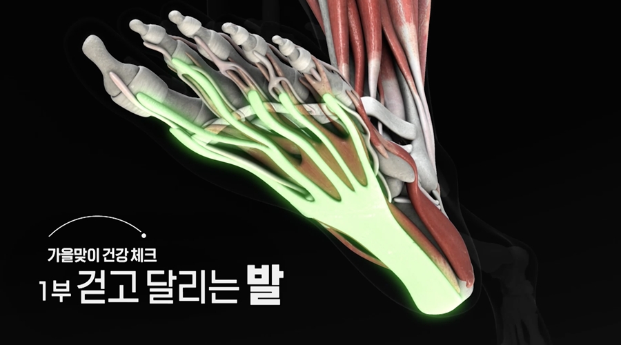 생로병사의 비밀 1007회 가을 맞이 건강 체크 1부 걷고 달리는 발