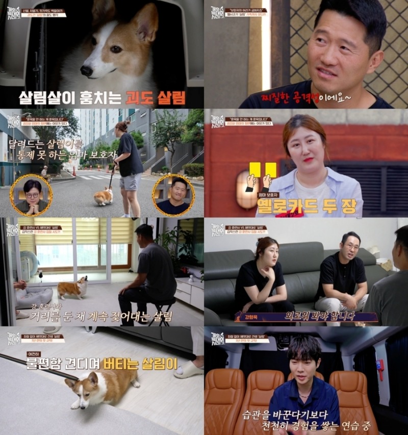 개와 늑대의 시간2 38회 배움의 시기를 놓쳐버린 살림이