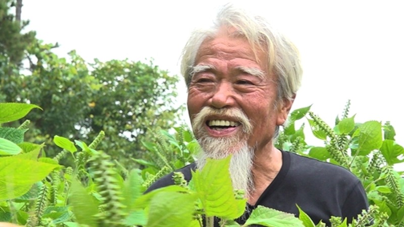 나는 자연인이다 731회 삶이라는 소풍 자연인 이장순