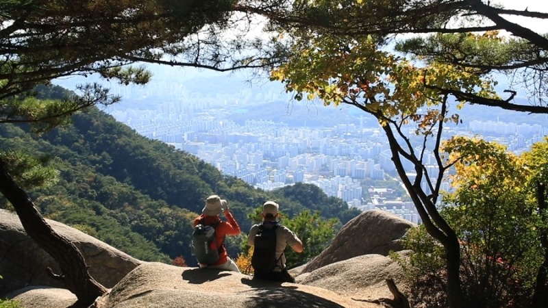 영상앨범 산 1061회 도시를 품은 안식 - 서울 불암산